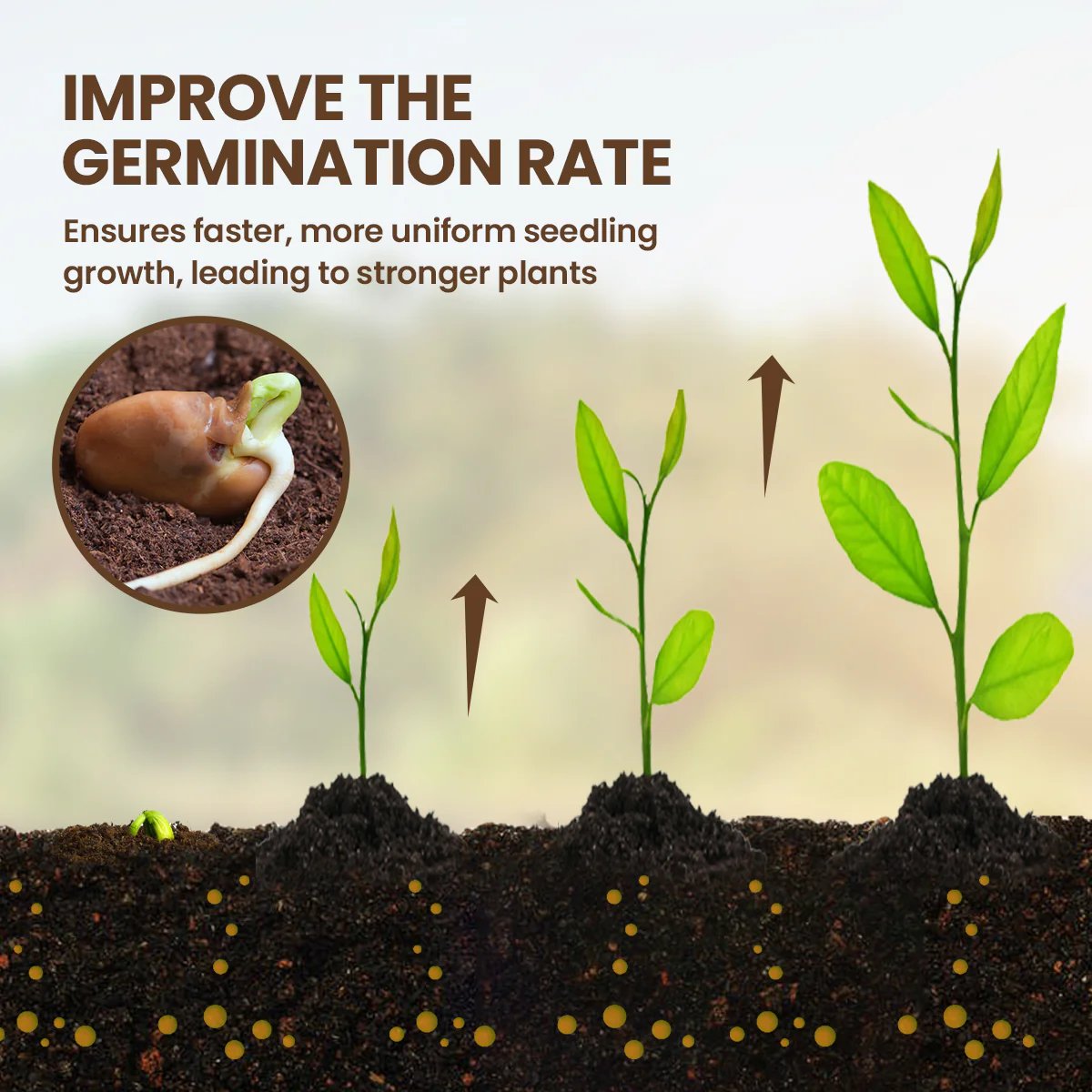 🏆75K+ Sold | Soil Pro Activator 🌱 Revive Your Soil, Boost Plant Growth Naturally