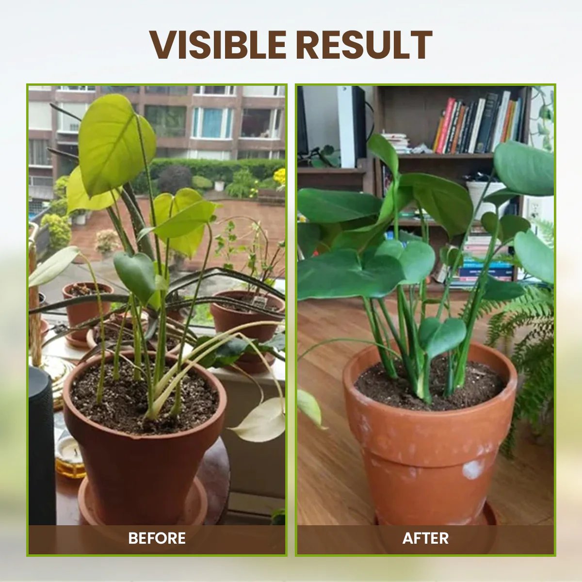 🏆75K+ Sold | Soil Pro Activator 🌱 Revive Your Soil, Boost Plant Growth Naturally