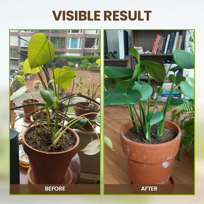 🏆75K+ Sold | Soil Pro Activator 🌱 Revive Your Soil, Boost Plant Growth Naturally