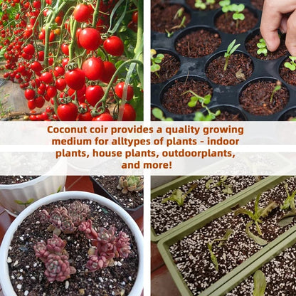 🔥LAST DAY 49% OFF🌱Premium Organic Coconut Coir Bricks for Plants🌱