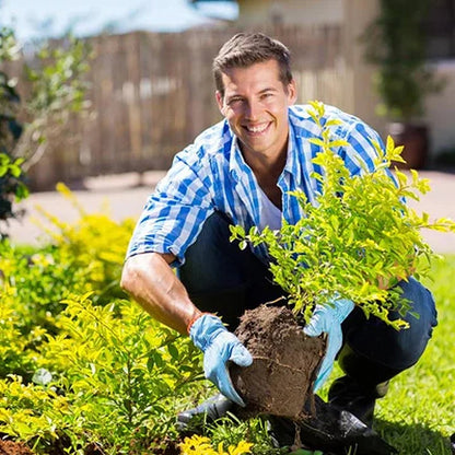 🏆75K+ Sold | Soil Pro Activator 🌱 Revive Your Soil, Boost Plant Growth Naturally